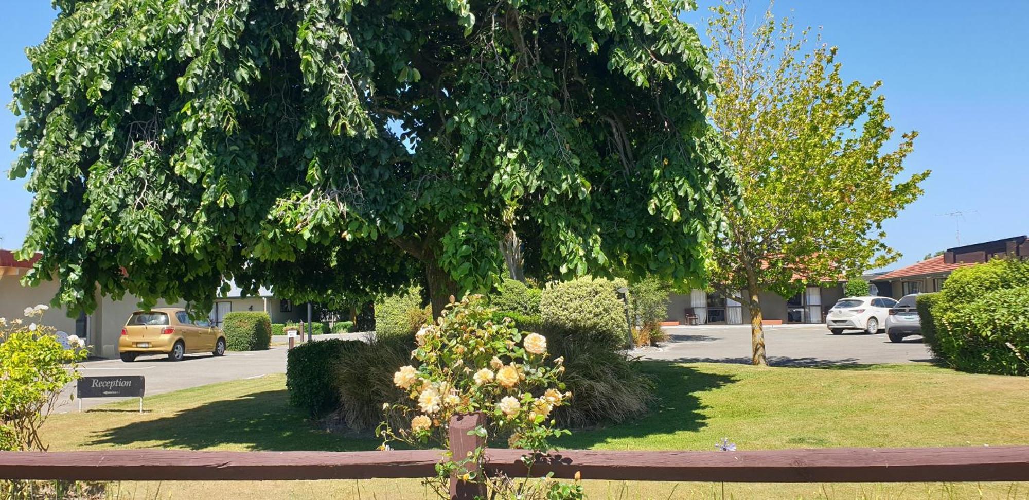 Commodore Motor Lodge Ashburton Zewnętrze zdjęcie